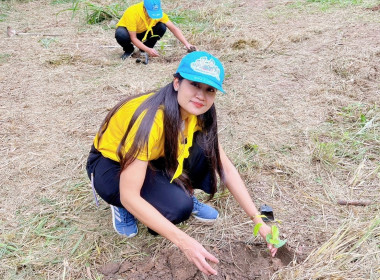 กิจกรรมปลูกต้นไม้เฉลิมพระเกียรติพระบาทสมเด็จพระเจ้าอยู่หัว ... พารามิเตอร์รูปภาพ 17